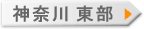 �_�ސ쓌��
